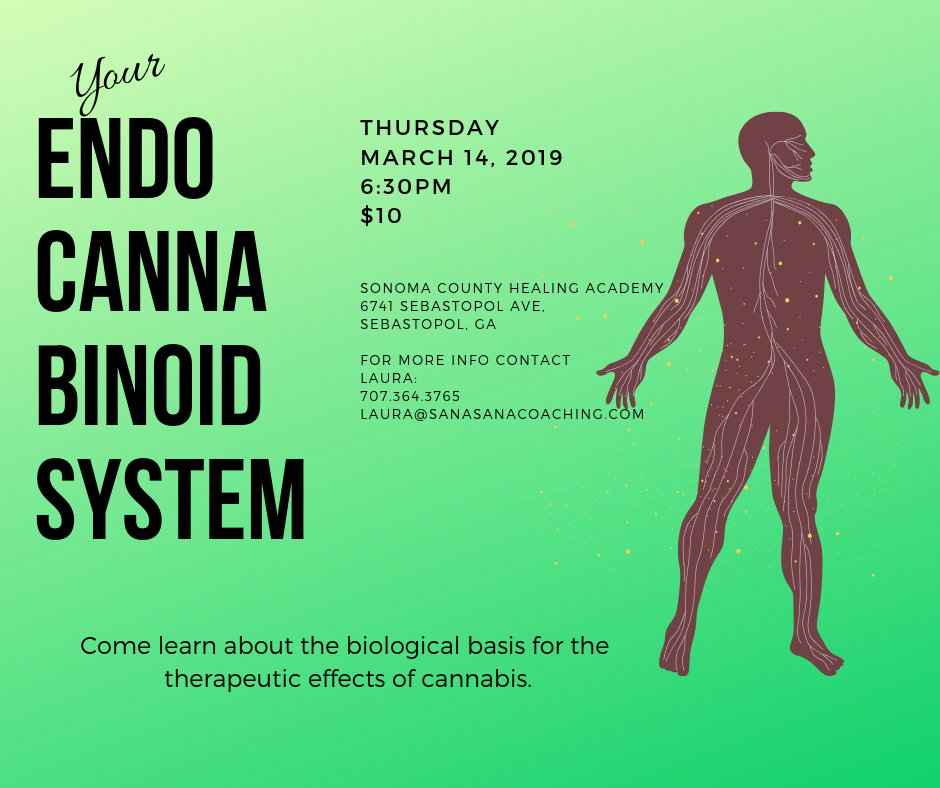 Your Endocannabinoid System