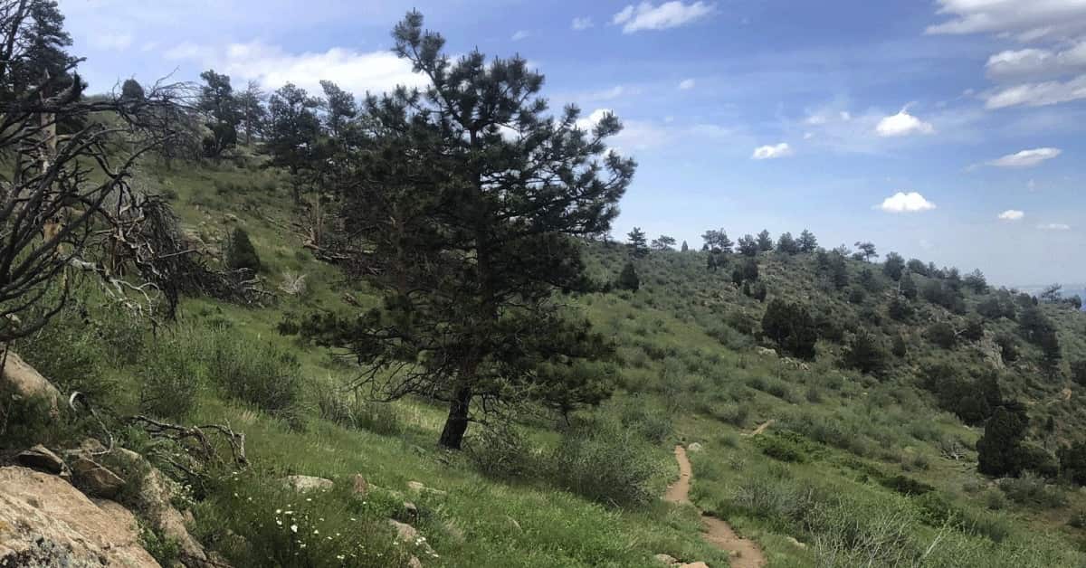 CannaVenture® Hike - CO - August 2020