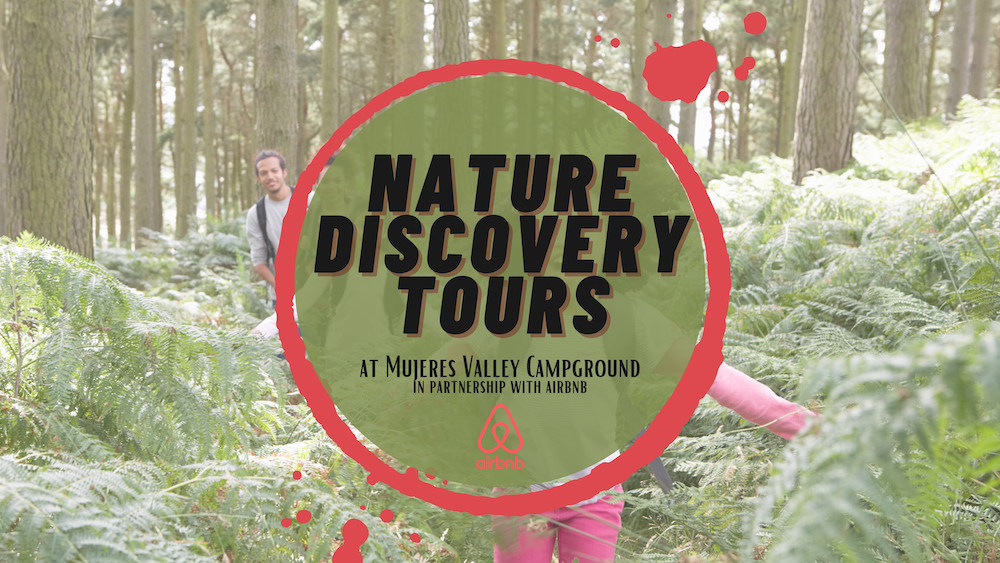 Nature Discovery Tour
