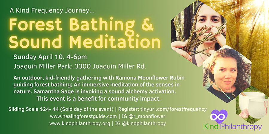 Forest Bathing & Sound Meditation