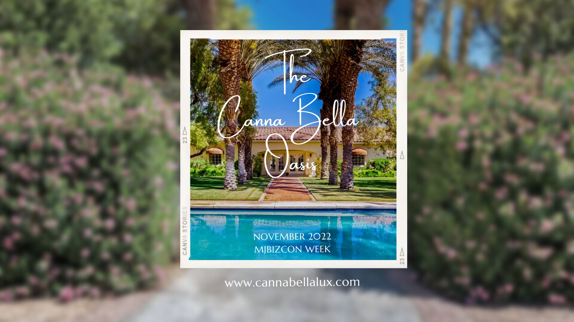 The Canna Bella Oasis